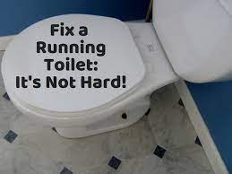Check spelling or type a new query. Toilet Repair How To Fix A Leaking Or Running Toilet Dengarden