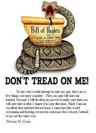 4.8 out of 5 stars based on 42 product ratings(42). 9 Gadsden Flag Ideas Dont Tread On Me Gadsden Flag God Bless America