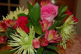 Check spelling or type a new query. Celebrate With Me Http Www Flowerzncakez Com Products Flowers Celebrate With Me Htm Online Flower Shop Bunch Of Flowers Cheap Flowers
