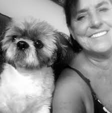 Hi, On which days and at what time will the lanterns go up? :)