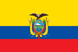 Pin On Ecuador Project Thing