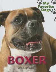 Boxer (My Favorite Dogs) (Library Binding)