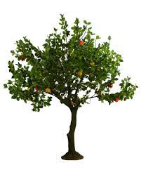 Order online or by phone. Factory Wholesale Ornamental Fake Artificial Pomegranate Fruit Trees Decorative Artificial Pomegranate With Best Price Buy Artificial Pomegranate Decor Pomegranate Best Price Wholesale Pomegranate Fruit Tree Product On Alibaba Com