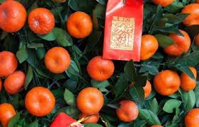 Why Mandarin Orange Or Kumquat Trees Chinese New Year Kumquat Tree Orange Mandarin Orange