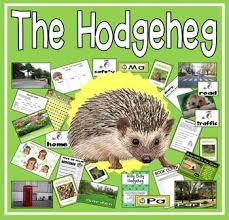The Hodgeheg Story Teaching Resources Eyfs Ks1 2 Hedgehog Road Safety Teaching Resources Eyfs Animal Flashcards