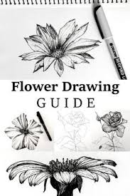 Easy flower drawings cute drawings easy drawings doodle drawings cool drawings flower drawing plant drawing pictures to draw sketch book. 900 Drawing Flowers Ideas In 2021 Flower Drawing Drawings Flower Drawing Tutorials