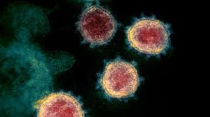 Wir halten euch ständig auf dem laufenden über die ausbreitung des virus und über das, was die bundesregierung und die bundesländer tun, um sie zu verlangsamen. Coronavirus Sind Covid 19 Erkrankte Danach Immun Gesundheit Sz De
