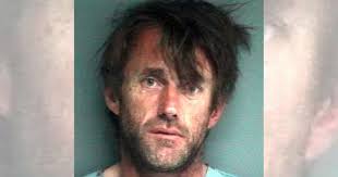 UK's first cat DNA database used to convict killer after pet's hairs found 