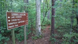 The talladega national forest provides visitors with numerous trails to explore, as well as picnicking and campground facilities. There Are Very Few Of These Signs Bild Von Talladega National Forest Childersburg Tripadvisor