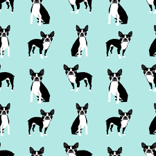 Black And White Boston Terrier Pictures Colorful Fabrics Digitally Printed By Spoonflower Boston Terriers Mint Cute Dog Fabric Best Dog Design Best Light Mint Dog Black And White Nursery Dog Fabric Boston Terrier Dog Dog Design