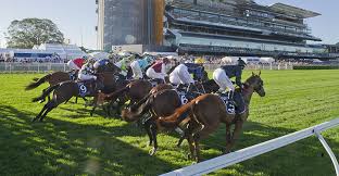 The track is the largest racecourse in new south wales. Royal Randwick Racecourse Sound And Vision The P A People