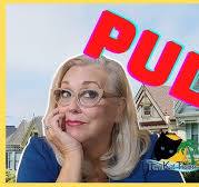 Whats a PUD? What is a Planned Unit Development?