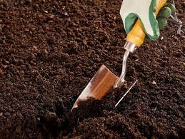 It will make remembering to care for. Can You Mix Potting Soil With Garden Soil Hgtv