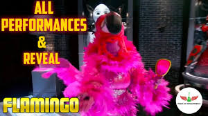 The latest performers included black widow, leopard, flamingo and, briefly, panda, who was revealed to be retired professional boxer laila ali following her elimination from the weird reality. Masked Singer Flamingo All Performances Reveal Season 2 Youtube