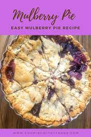 Homemade Mulberry Pie Not Watery Recipe Mulberry Pie Mulberry Recipes Easy Pie Recipes