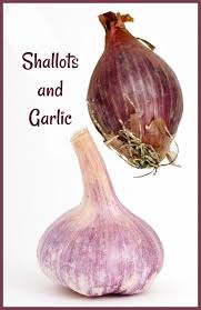 Shallots Vs Onions Shallots Vs Garlic What Are The Differences Similarities Vegetable Garden Home Vegetable Garden Vegetables