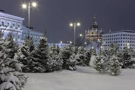 The winter garden has been a recreational meeting place for the residents of helsinki for over a century. Winter Jahresauftakt Event In Helsinki Finnland Incentive