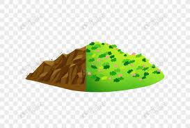 Tree Planting And Soil Erosion, Green ...