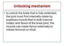 Crystal unlocking mechanism is a quest item needed for the calling. Pathomechanics Of Knee Joint Ppt Video Online Download