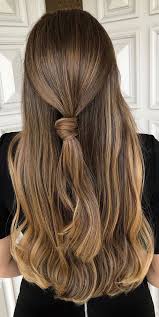 Honey brown looks great against dark brown hair on this wavy half updo with side bangs. Gorgeous Hair Colour Trends For 2021 Honey Blonde Highlights