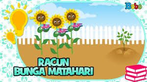 Download now 30 galeri gambar bunga kartun unik bunga matahari di 2019. Fakta Unik Rahasia Racun Bunga Matahari Youtube