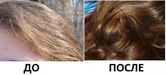 маска для волос из коньяка яйца и меда отзывы Maska Dlya Volos S Yajcom I Olivkovym Maslom Chem Polezno Olivkovoe Maslo I Yajco Dlya Volos Krasivye Pricheski