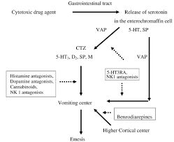 Activation Of Emetic Pathway By Cytotoxic Drugs And Site Of Action Of Download Scientific Diagram