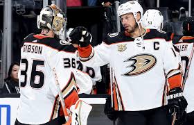 2019 20 Nhl Season Preview Anaheim Ducks The Athletic