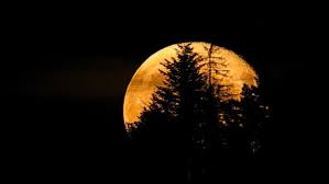 Herzflusterei spirituelle wegbegleitung abend mond spirituell. Vollmond Oder Sichel Der Mond Seine Reise Im August Sternenhimmel Br Wissen