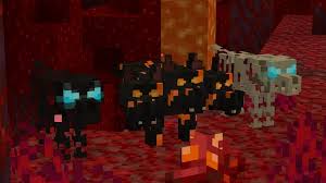 In this video i show the tamed wolf fighting against all neutral and hostile minecraft mobs. Better Dogs Resource Pack 1 16 1 15 Texture Packs