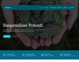 Browse the best free business, portfolio, and blog html5 responsive website templates. Os Templates Download 603 Website Templates Premium And Free Website Templates Responsive Html5 Psd Templates And Much More