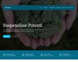 Making a professional website has never been easier. Os Templates Download 603 Website Templates Premium And Free Website Templates Responsive Html5 Psd Templates And Much More
