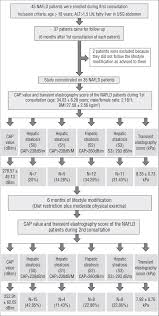 Flow Chart Showing The Process For Enrollment Of Patients