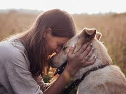 Oggi, 26 agosto, è la giornata internazionale del cane. F7e0zcudlmyxim