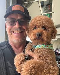 Life of a motorcyclist