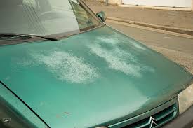 Pourquoi Les Peintures Ternissent Et Les Vernis S Ecaillent Palais De La Voiture Com