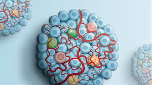 .colorectal cancer ≈ рак кишечника larynx cancer ≈ рак гортани liver cancer ≈ рак печени lung cancer в астрологии ) cancer бич , бедствие ~ ( c.) рак ( созвездие и знак зодиака ) ; Rare Cancers Collection