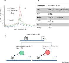 This wikihow teaches you how to prevent an app on your samsung galaxy from drawing over over apps (a feature known as screen overlay). Non Duplex G Quadruplex Structures Emerge As Mediators Of Epigenetic Modifications Sciencedirect