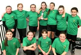 Every major college football team ranked with historic accuracy by the congrove computer rankings. Football Teams Thrive At Greenfield Community College The Northern Echo