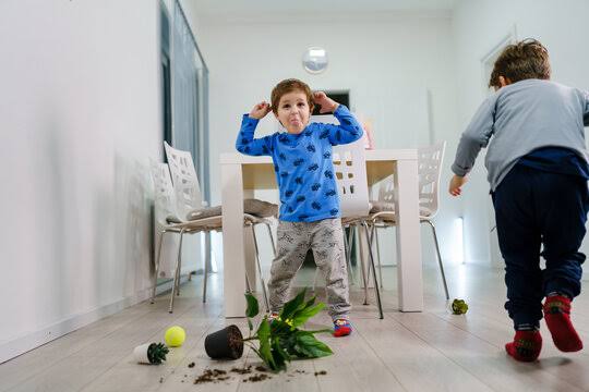 Mischief Images – Browse 154,624 Stock Photos, Vectors, and Video | Adobe  Stock