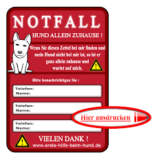 Eine notfallkarte im portemonnaie oder an ihrem schlüsselbund informiert ihre helfer, dass und natürlich können sie sich auch ihre ganz individuelle notfallkarte, z. Erste Hilfe Beim Hund Notfall Zettel