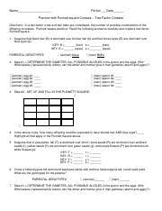 Watch spongebob squarepants season 3 full episodes online cartoons. Ws 2 Factor Cross Pdf Name Period Date Practice With Punnett Square Crosses Two Factor Crosses Directions In A Two Factor Cross And Two Traits Are Course Hero