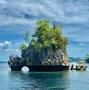 Profile Picture of Korpak Villa & Resort Waisay Raja Ampat - Waisai Hotels - Tripadvisoron Google
