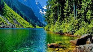 Get computer wallpaper of nature! Nature Hd Pc Desktop Wallpapers Wallpaper Cave