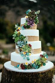 Succulent Cake Succulent Wedding Cakes Succulent Cake Succulent Wedding