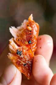 We did not find results for: Traeger Smoked Salmon Recipes Easy Recipes For Smoked Salmon