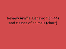 Review Animal Behavior Ch 44 And Classes Of Animals Chart