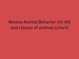 review animal behavior ch 44 and classes of animals chart