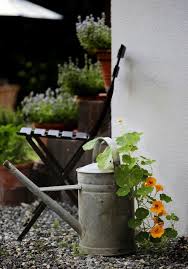 Pin Auf Blumen