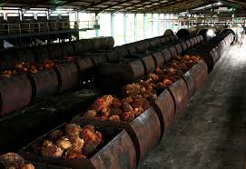 Selain hdc, jakim turut bagi industri halal di malaysia secara keseluruhannya melalui hasil kajian yang diperolehi, sistem pensijilan halal yang diimplementasikan oleh jakim di. Daftar Nama Nama Pabrik Kelapa Sawit Di Sumatera Agroindustri